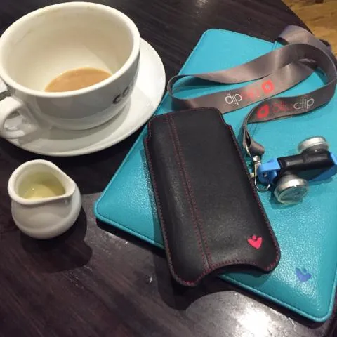 Apple iPhone 15 Pro Max Wallet Case in Black Leather | Screen Polishing Sanitizing Lining.