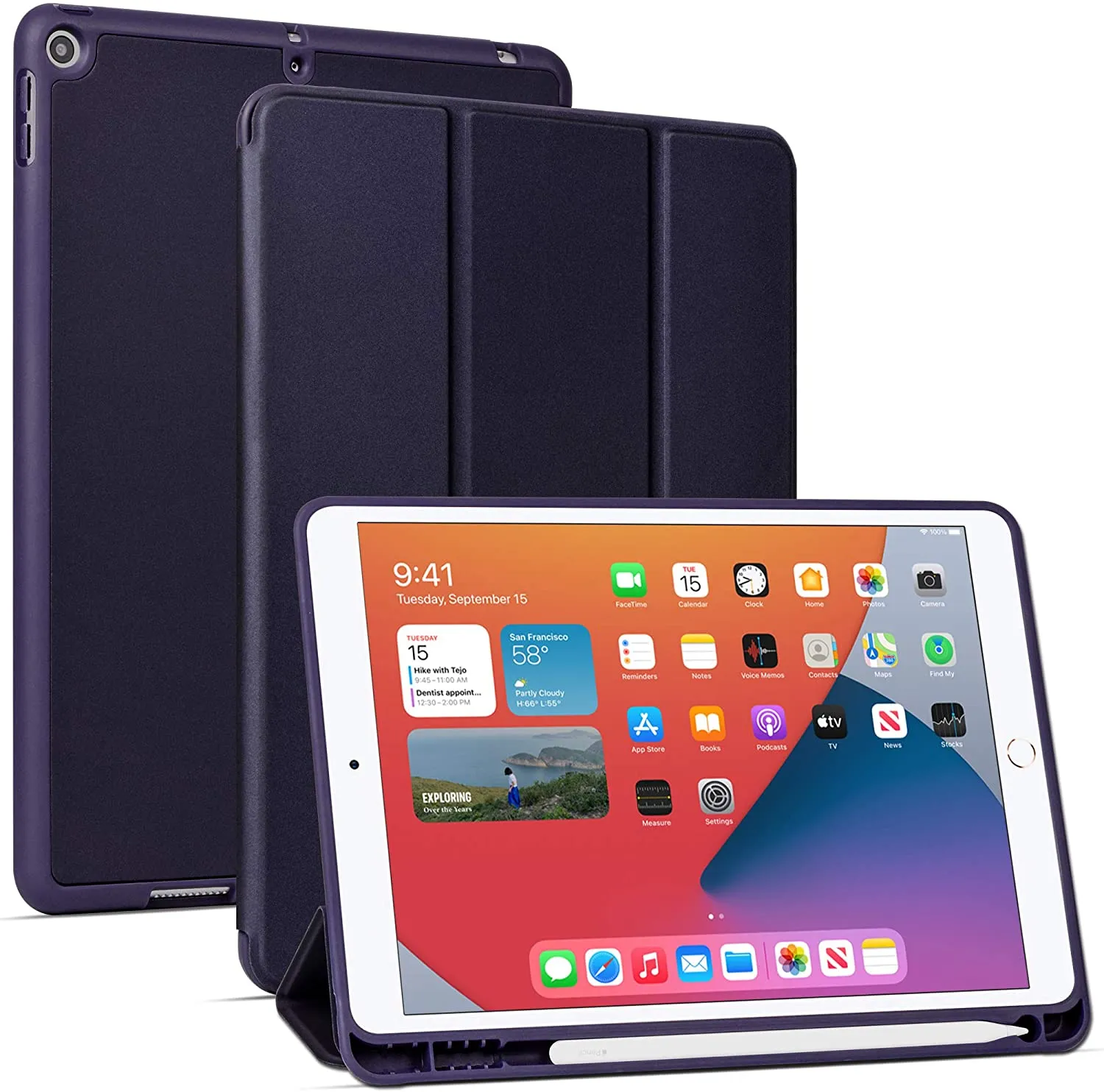 Arae for iPad 10.2 inch Case (7th Generation 2019) & (8th Generation 2020) Auto Wake/Sleep Feature Standing Cover