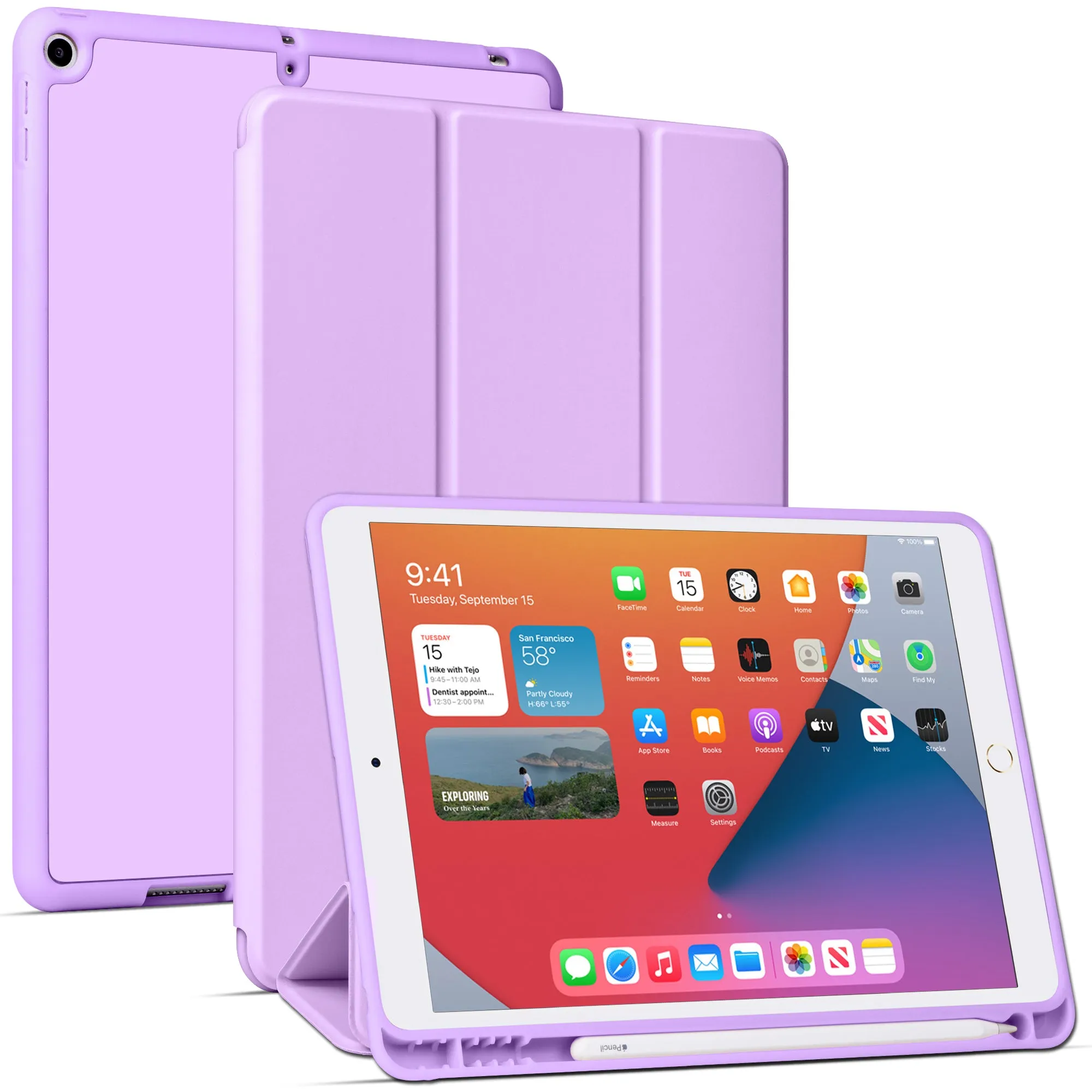 Arae for iPad 10.2 inch Case (7th Generation 2019) & (8th Generation 2020) Auto Wake/Sleep Feature Standing Cover