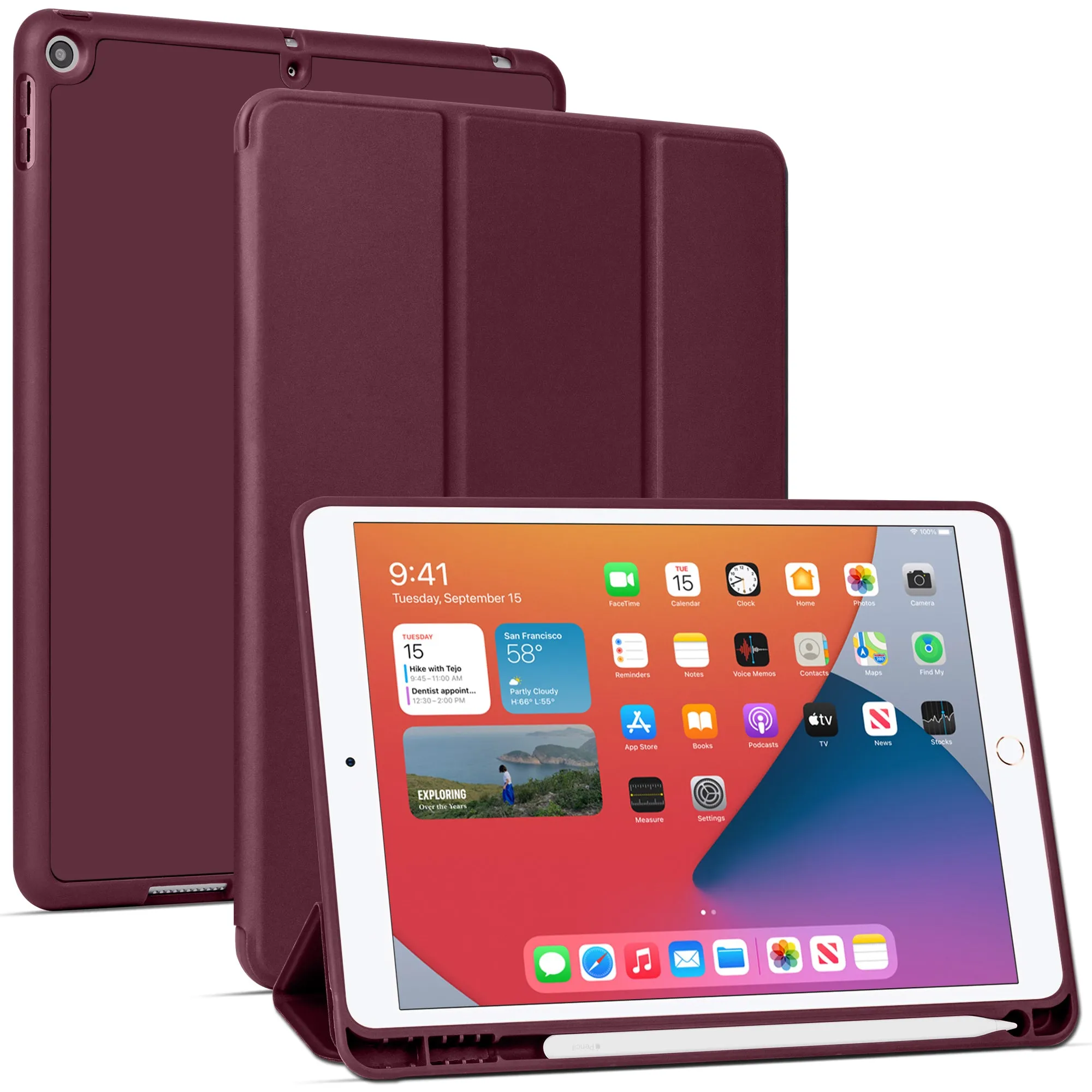Arae for iPad 10.2 inch Case (7th Generation 2019) & (8th Generation 2020) Auto Wake/Sleep Feature Standing Cover