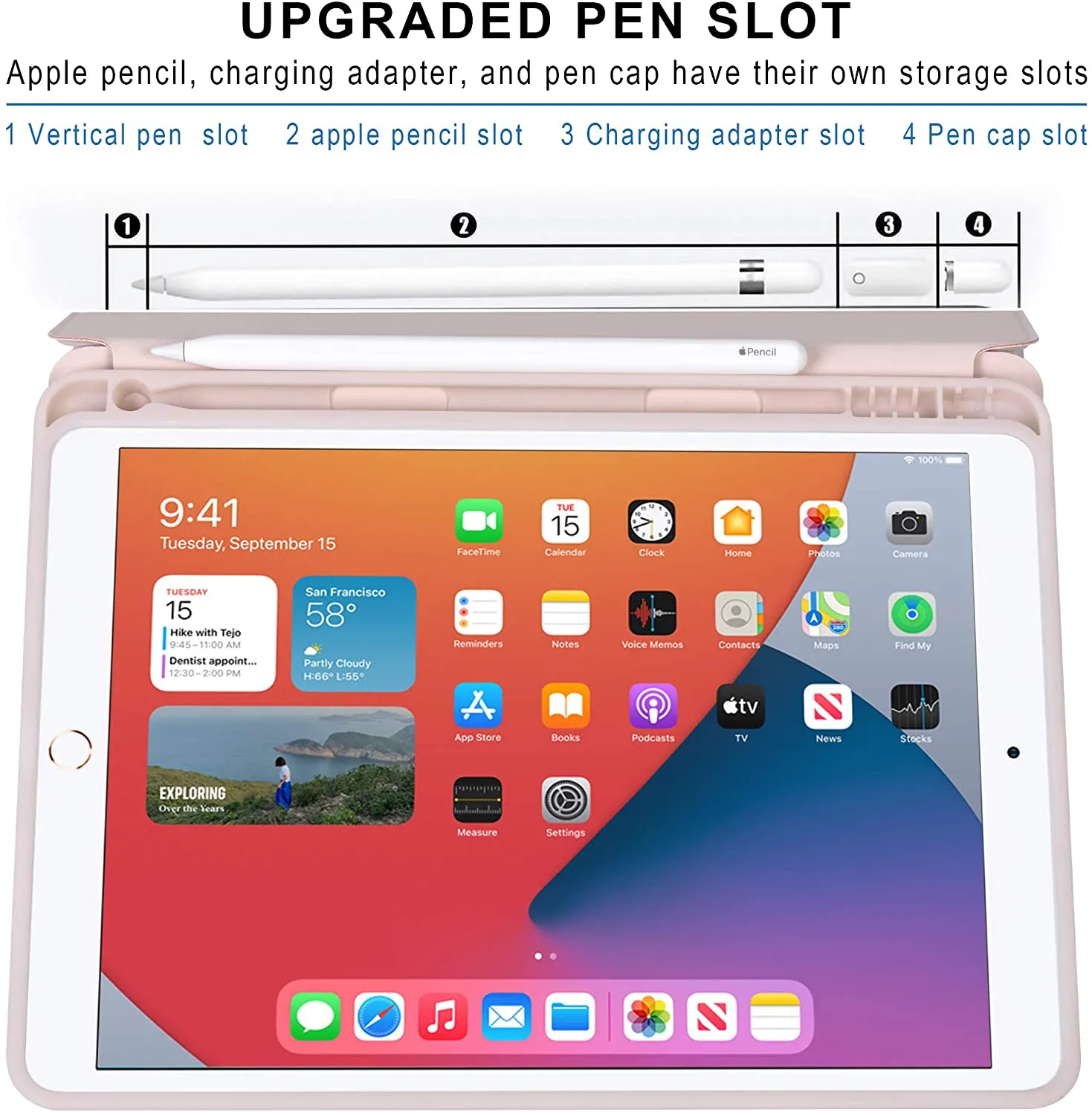 Arae for iPad 10.2 inch Case (7th Generation 2019) & (8th Generation 2020) Auto Wake/Sleep Feature Standing Cover