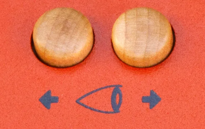 Critter & Guitari EYESY video synthesizer
