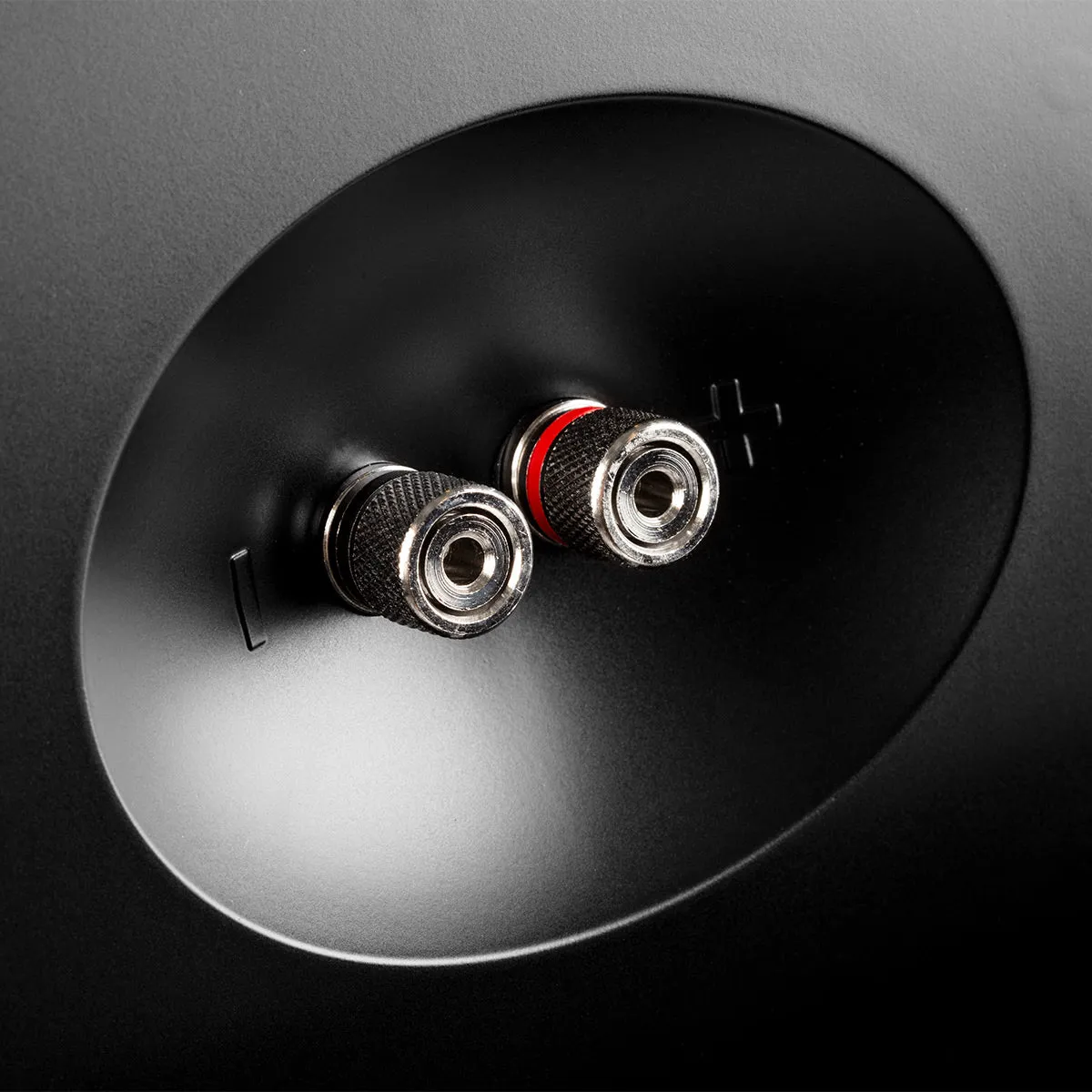 Definitive Technology AW450 All Weather Speaker with Bracket - Pair (Black)
