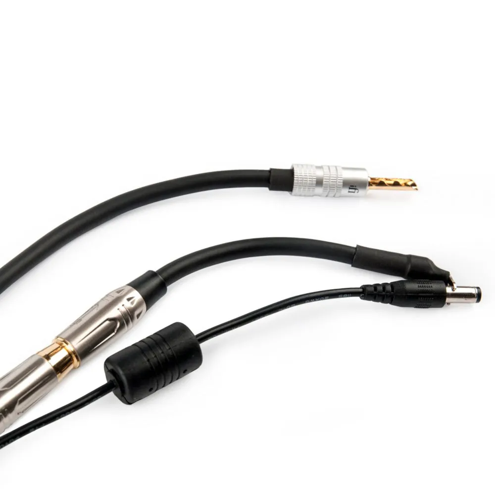 iFi Audio Groundhog  - Ground Loop Isolator Kit for Audio Systems