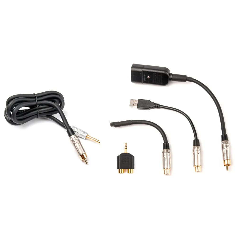 iFi Audio Groundhog  - Ground Loop Isolator Kit for Audio Systems