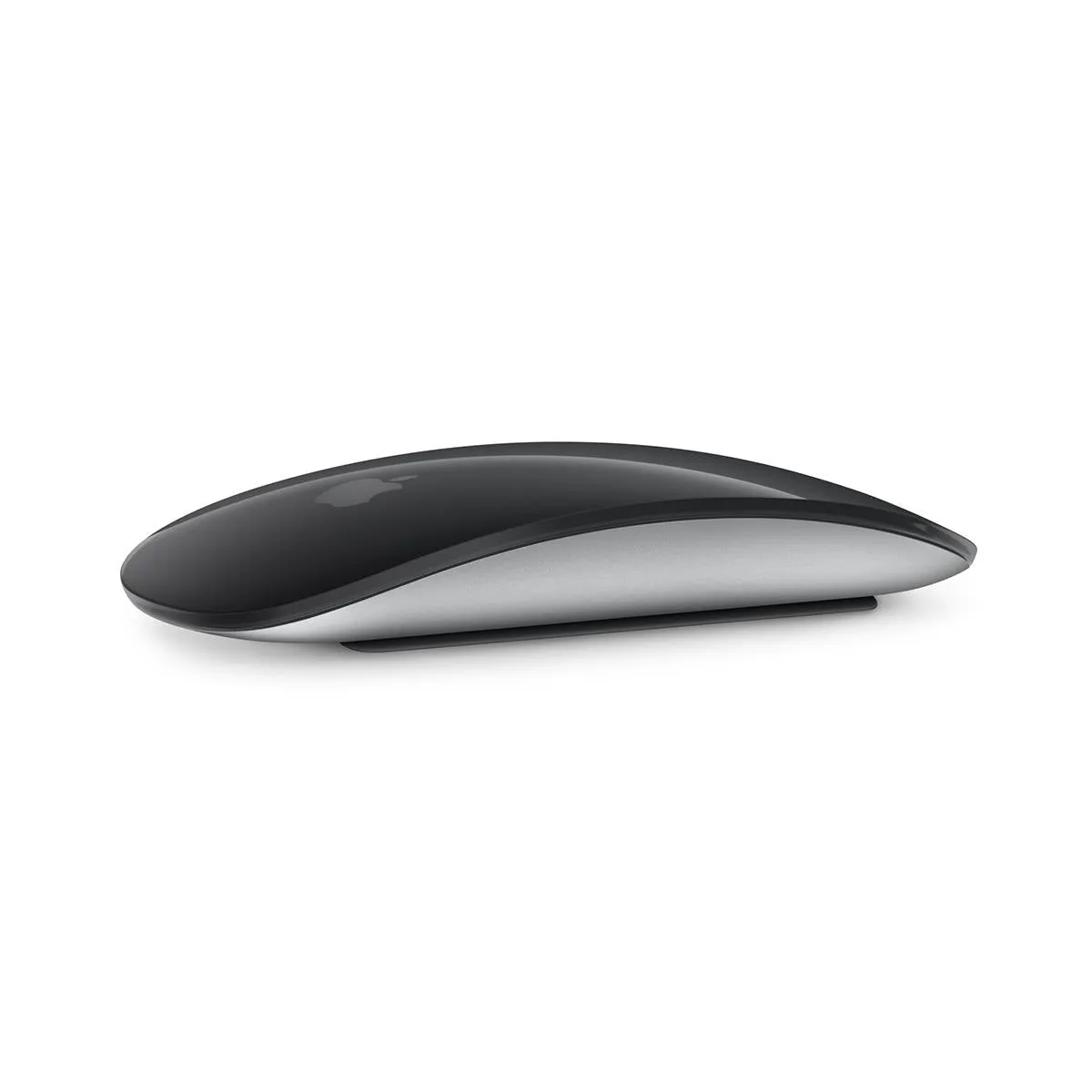 Magic Mouse 2