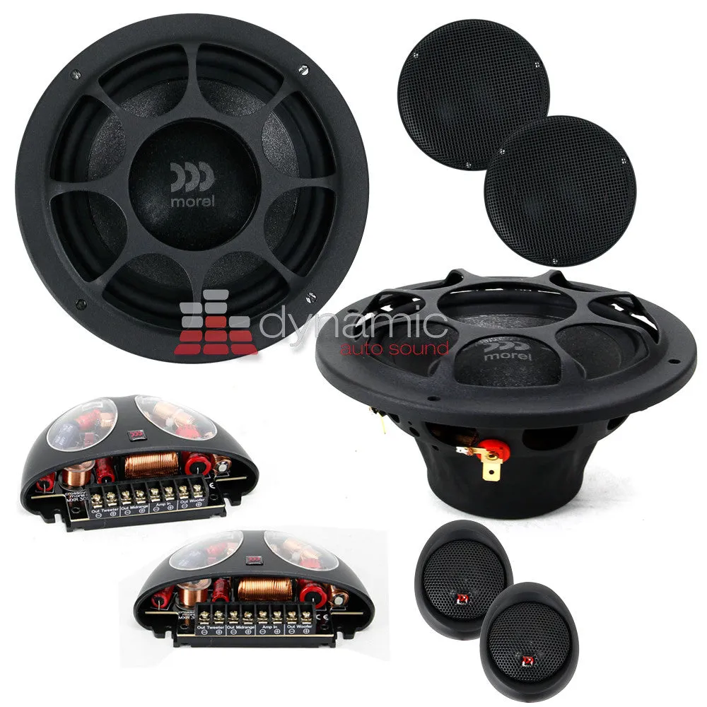 Morel Virtus 503