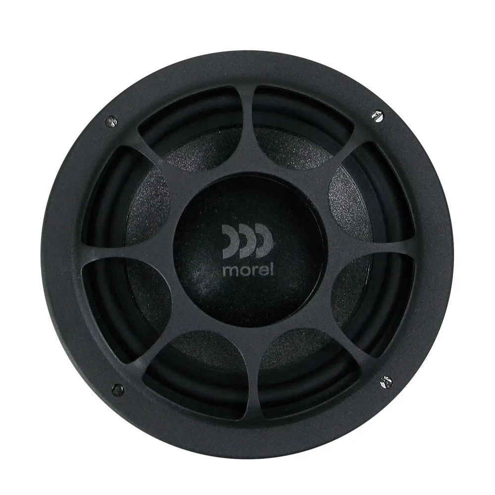Morel Virtus 503