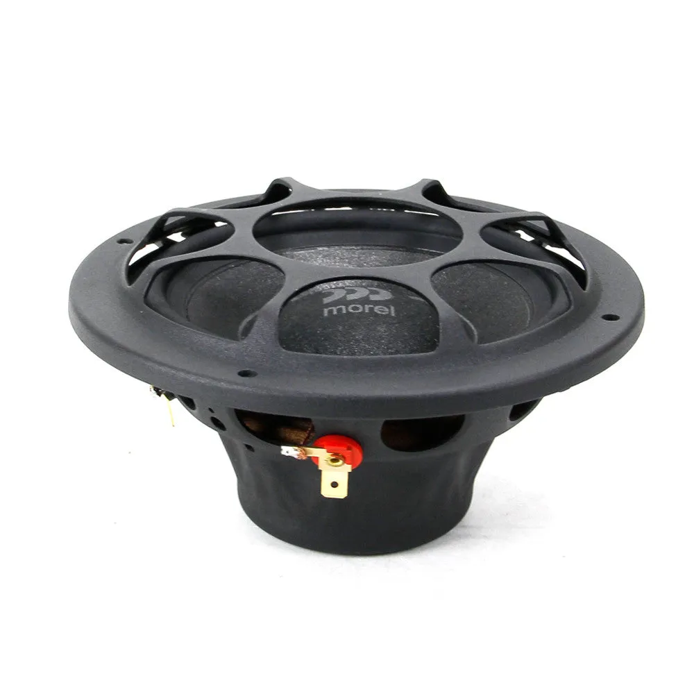 Morel Virtus 503