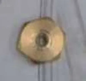 Nut Lock Series 31 Valve
