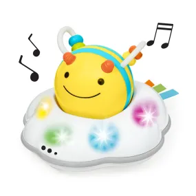 Skip Hop Explore & More Follow Bee Crawl Toy
